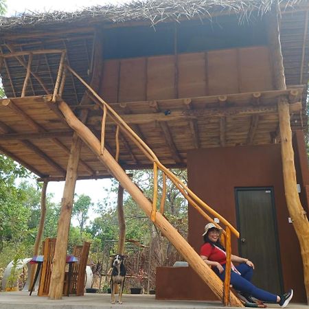 Апартаменти Pidurangala View Treehouse Сігірія Екстер'єр фото