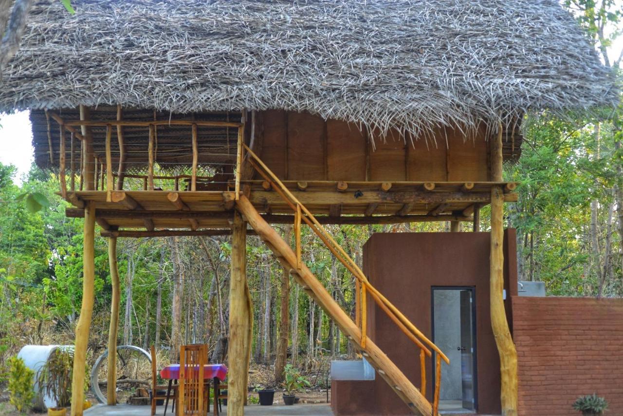 Апартаменти Pidurangala View Treehouse Сігірія Екстер'єр фото