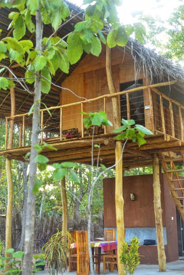 Апартаменти Pidurangala View Treehouse Сігірія Екстер'єр фото