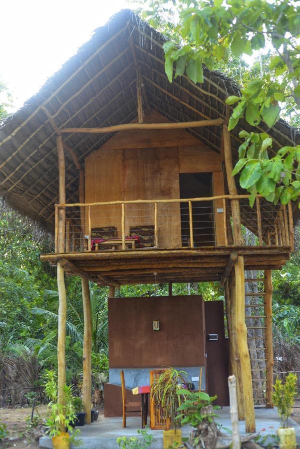 Апартаменти Pidurangala View Treehouse Сігірія Екстер'єр фото