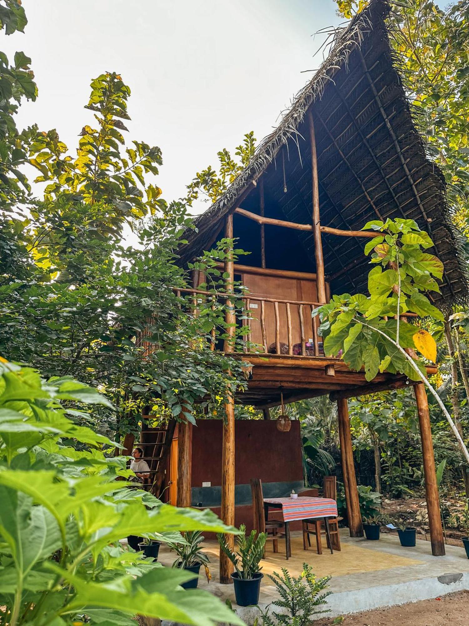 Апартаменти Pidurangala View Treehouse Сігірія Екстер'єр фото