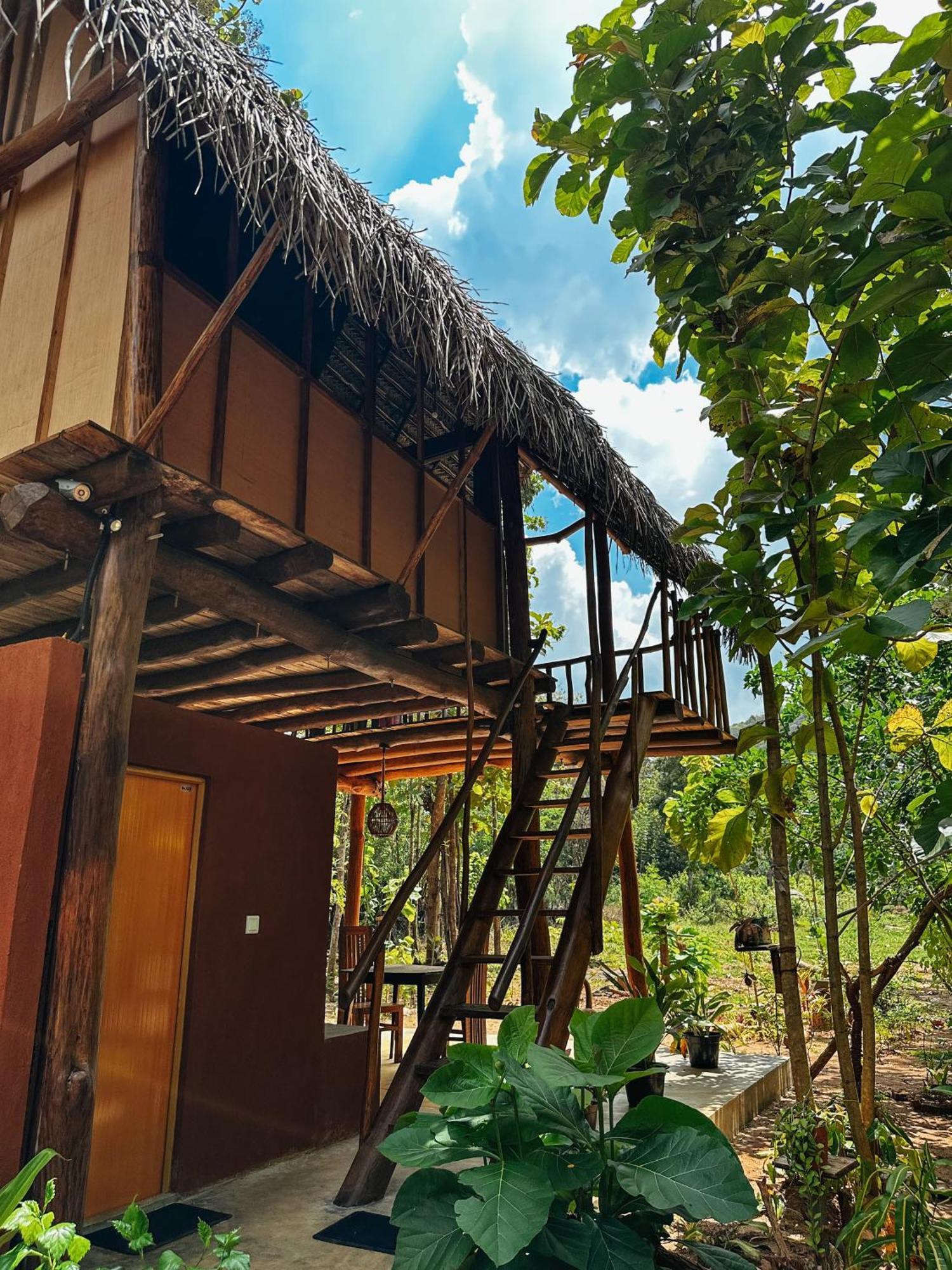 Апартаменти Pidurangala View Treehouse Сігірія Екстер'єр фото
