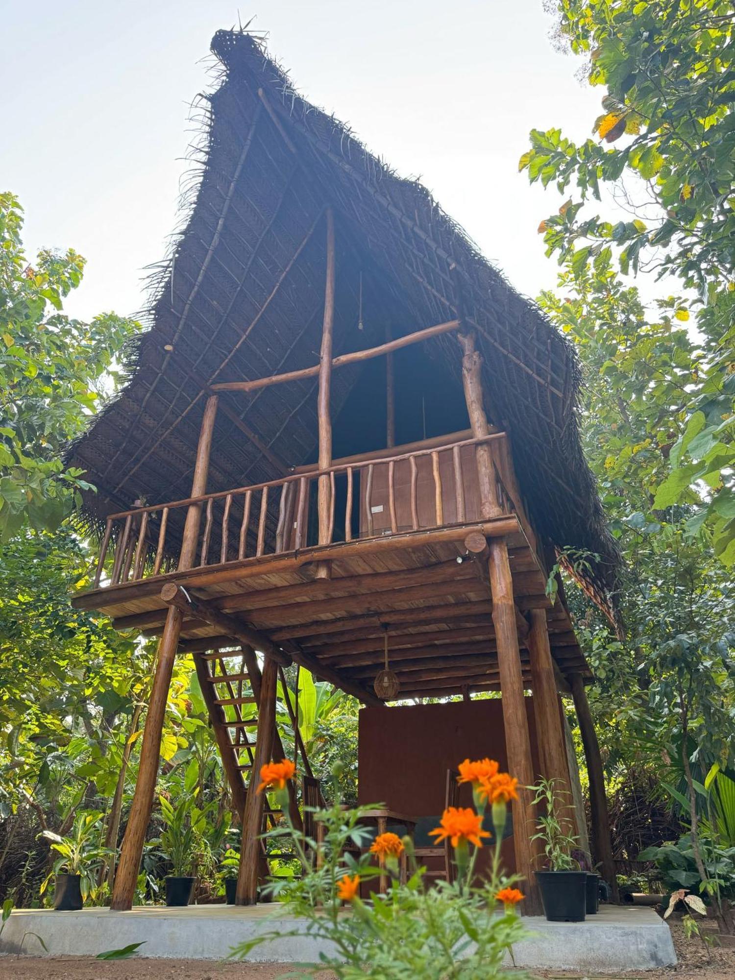 Апартаменти Pidurangala View Treehouse Сігірія Екстер'єр фото