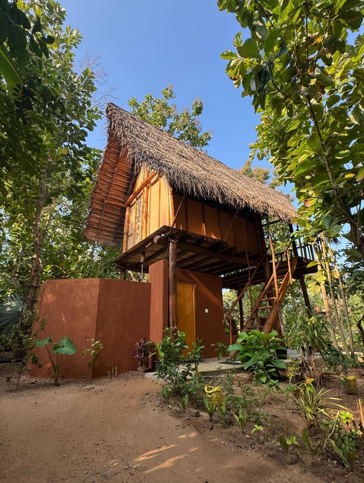 Апартаменти Pidurangala View Treehouse Сігірія Екстер'єр фото